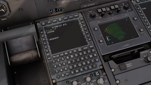 RJ Professional (MSFS 2020/2024)
